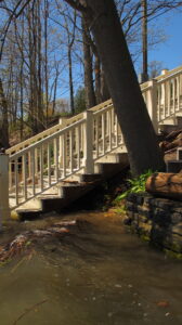 Ash tree undermined by 2011 Lake Champlain flood was removed to prevent damage to Rosslyn boathouse.