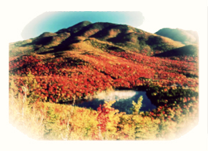 Leaf Peeping in the High Peaks