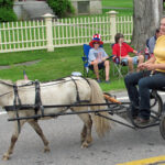 Miniature Sulky and Pony, 4th of July parade, Essex, NY 2013