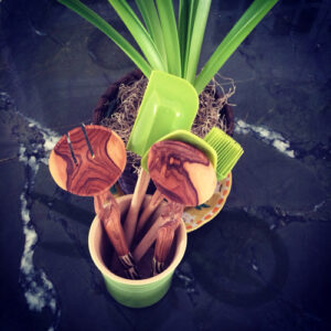 Utensils reconnoitering with Amaryllis. (Credit: virtualDavis)