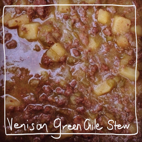 Venison Green Chile Stew: looks like dog food, tastes like bliss!