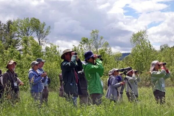 Birdwatching: Golden-winged Warbler Watchers (Photo: Pete DeMola, Valley News)