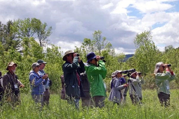 Birdwatchers and Golden-Winged Warblers