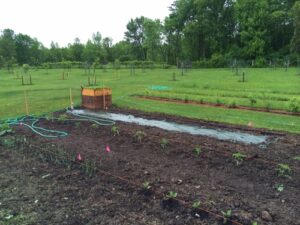 Garden Update: Soggy Friday the 13th