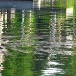 What your boathouse porch looks like in my world. (Photo: Eve Ticknor)