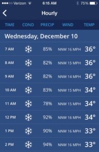 Snow, Snow, Snow: 10 December 2014