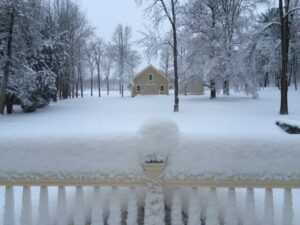 Winter started out with a deep, heavy, wet snowfall in early December 2014.