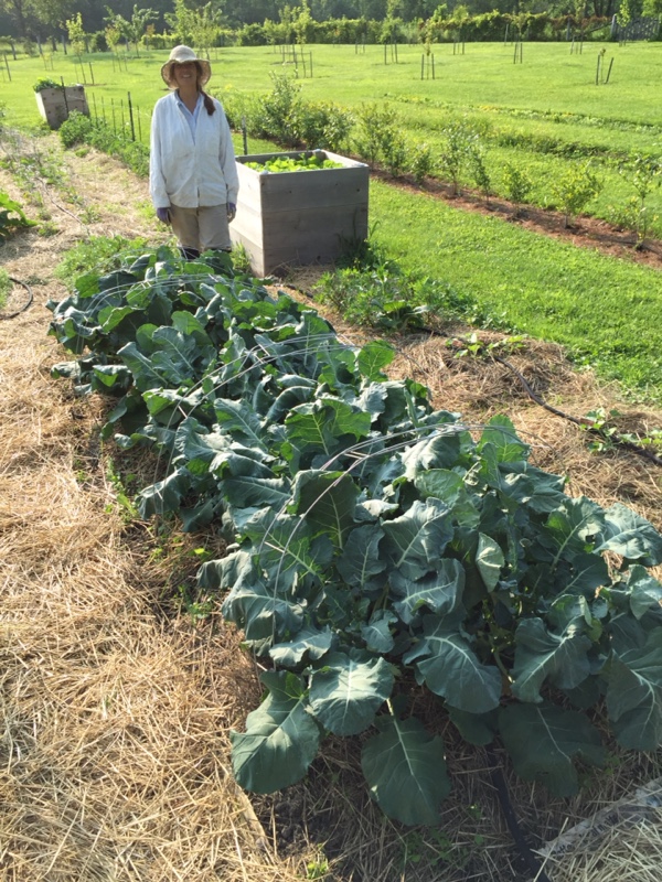 Catherine with Broccoli, July 2015