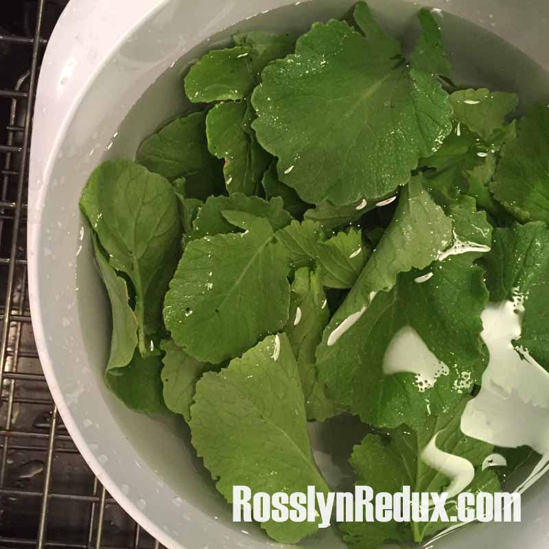 French Breakfast Radish Greens: Don't compost this nutritious spring green!