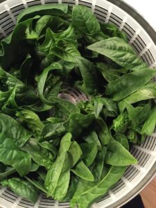 Spinach: From early spring until late autumn spinach, spinach, spinach,... (Source: Geo Davis)