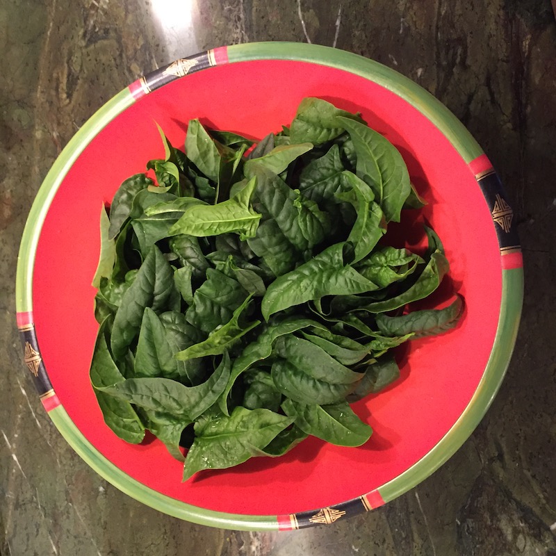 Spinach: From early spring until late autumn spinach, spinach, spinach,... (Source: Geo Davis)