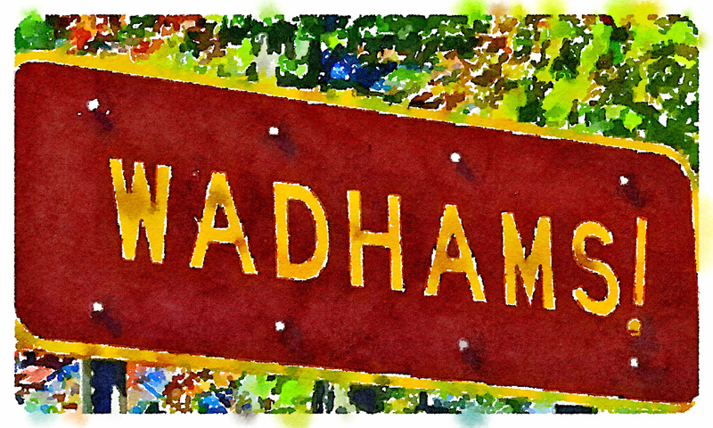 Wadhams! (Digital watercolor inspired by photo accompanying Suzanne Maye's blog post cited below.)