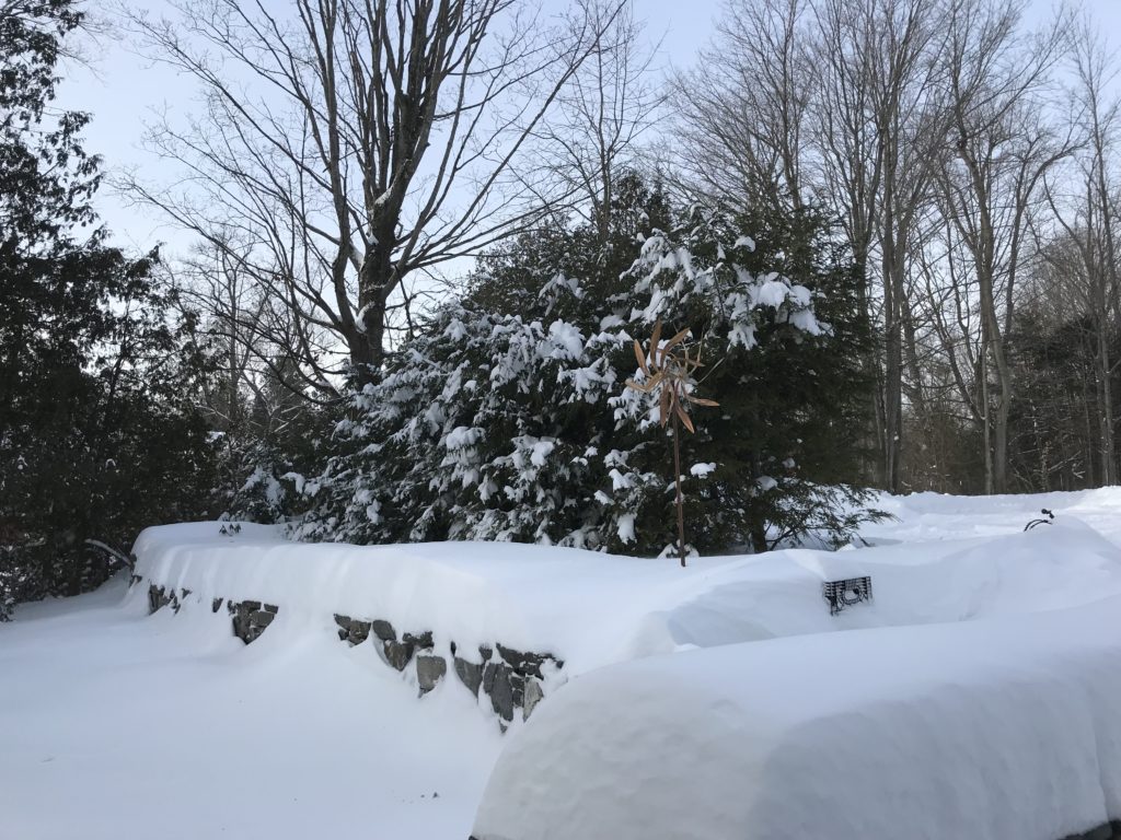 Winter Wonderland 2019: Rosslyn's stone walls buried in 20-24" of fresh snow. (Credit: R. P. Murphy)