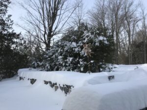 Winter Wonderland 2019: Rosslyn's stone walls buried in 20-24" of fresh snow. (Credit: P.M.)