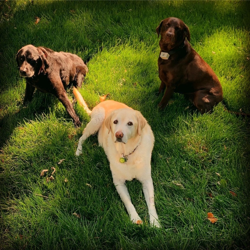 Griffin, "chillaxing" with his cousins, Darcey and Josey, in Nashville, TN, May 18, 2019 (Photo: Geo Davis)