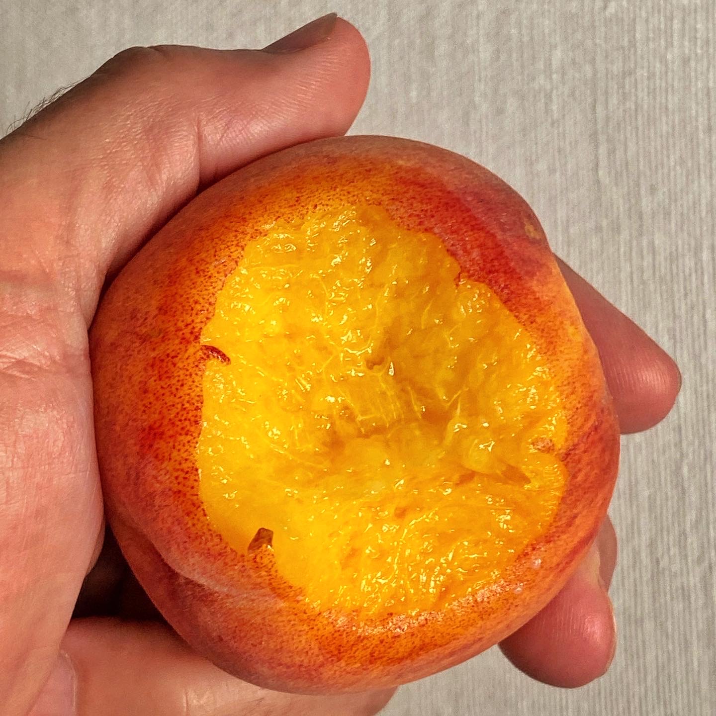 Peaches This Year