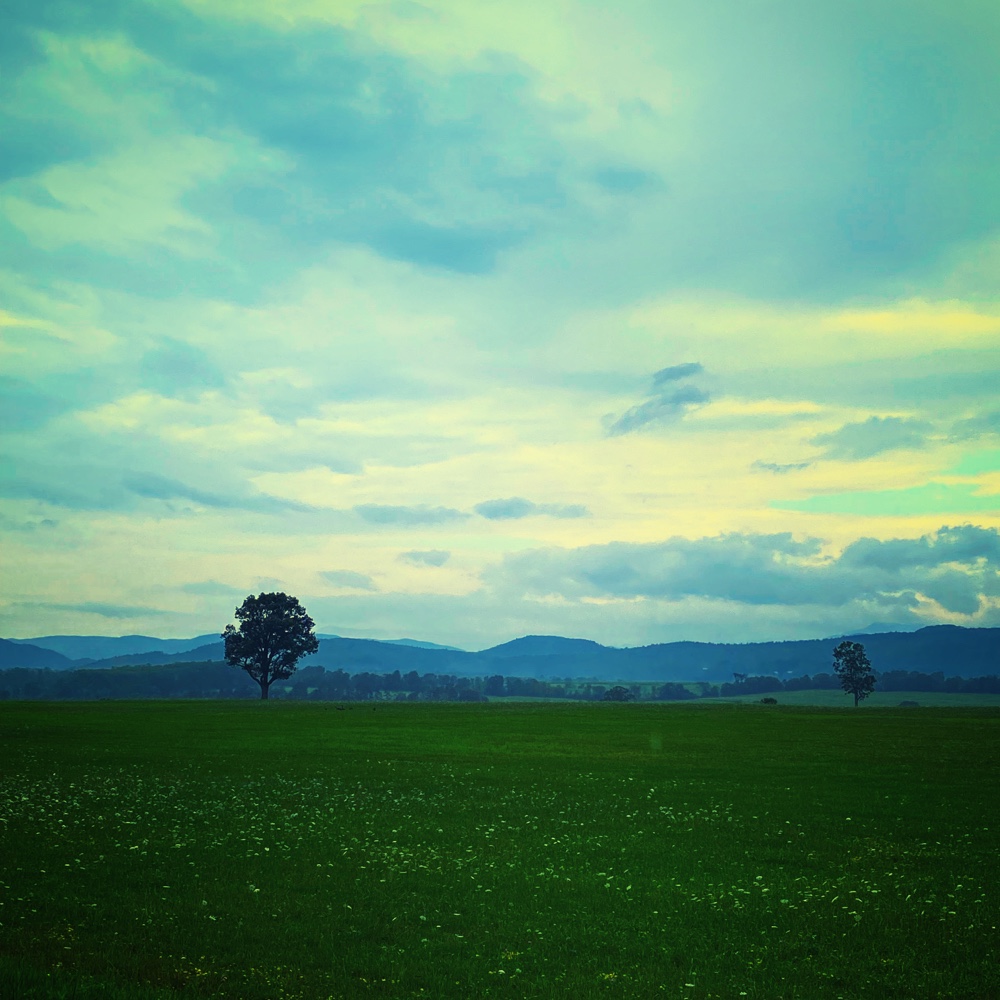 Drizzly Day Discovery #1 was this rain soaked vista that inspired an itty-bitty poem. (Source: @virtualdavis)