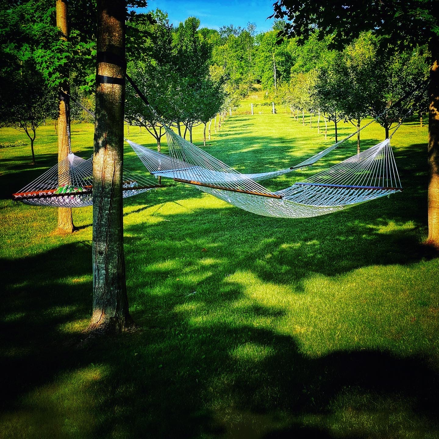 Hammock Huddle Haiku