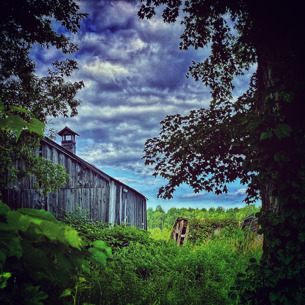 Toward a Barn Vernacular