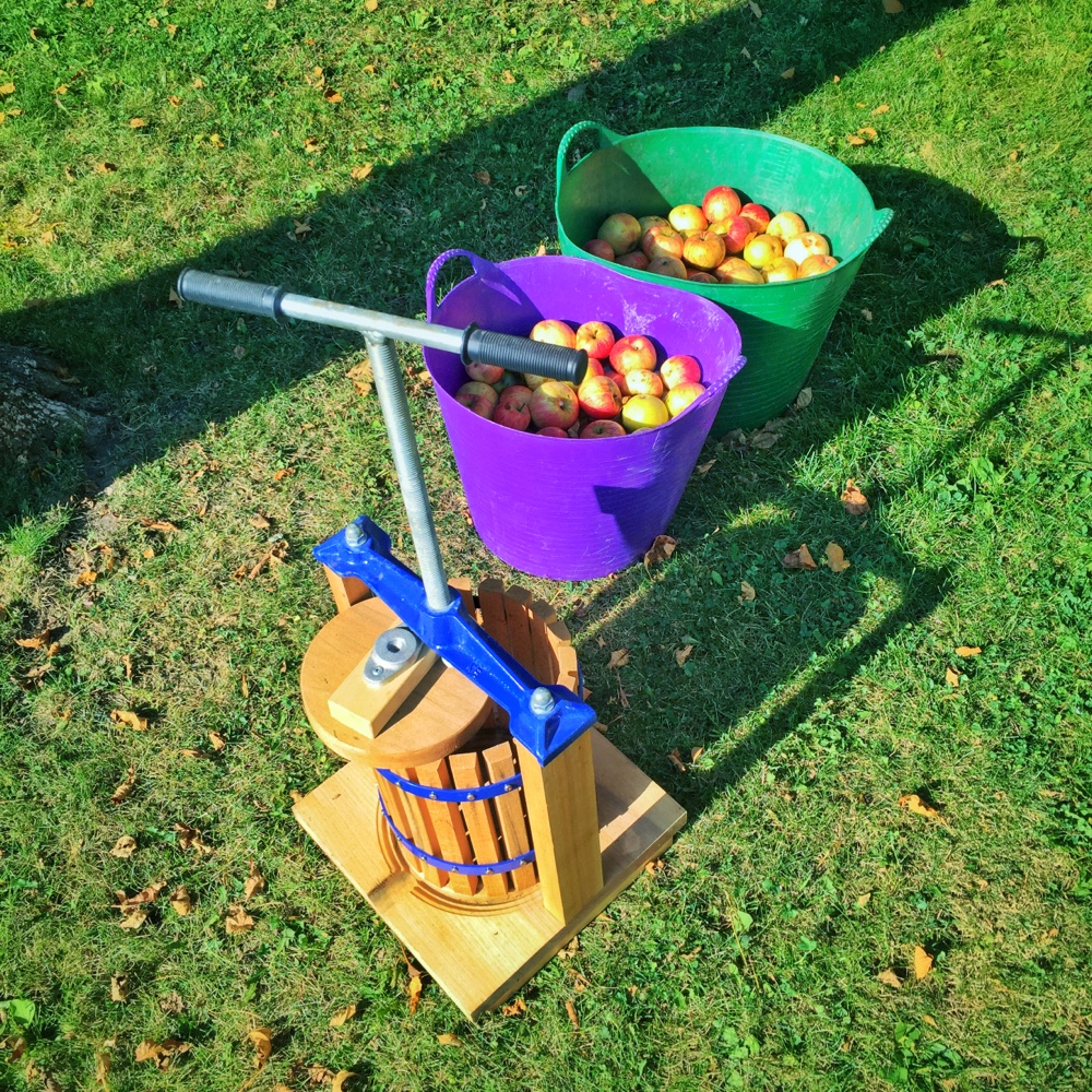 Cider Pressing, September 6, 2015 (Source: Geo Davis)