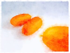 Orange Cucumbers Watercolor Riff