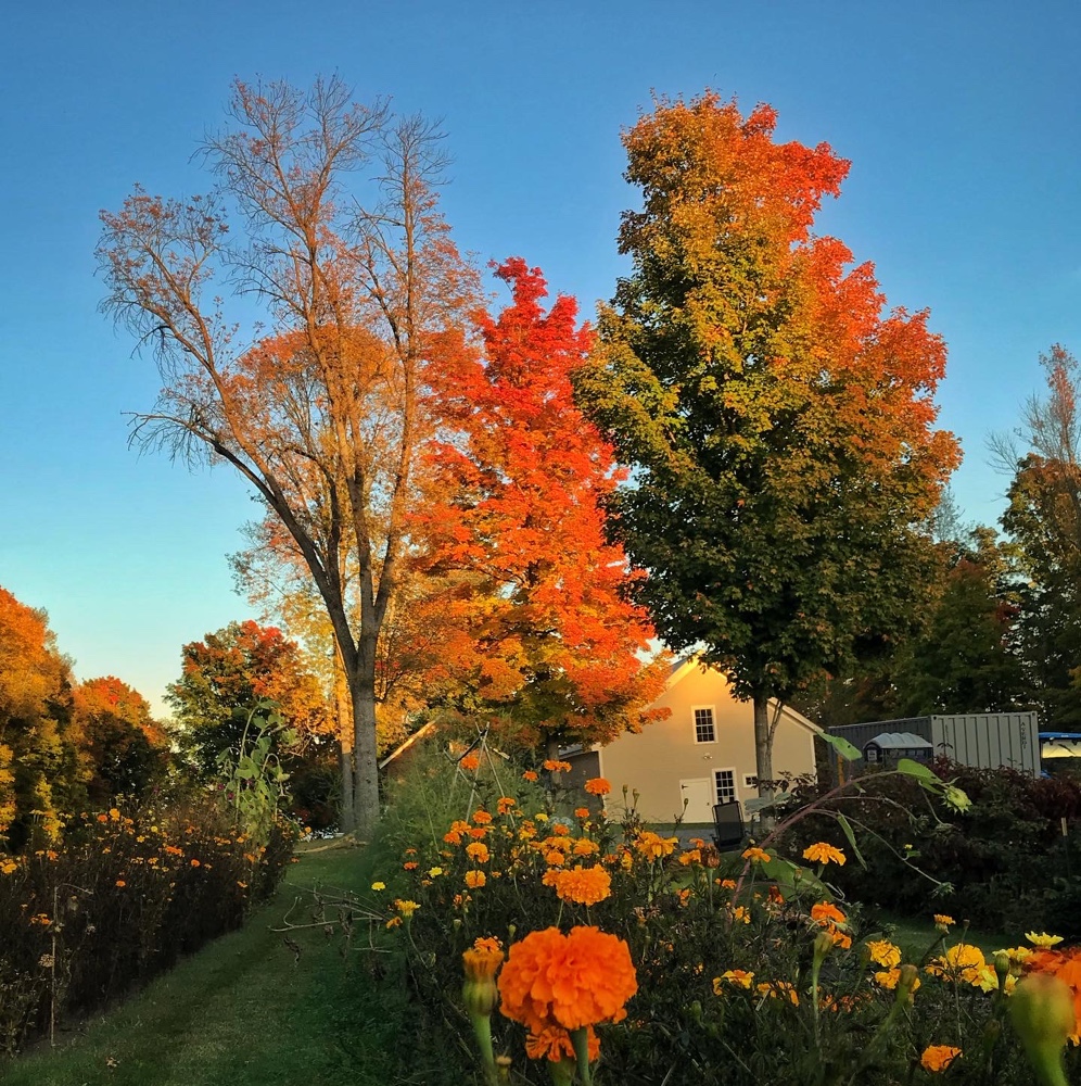 Fall Foliage 2022 (Credit: Hroth Ottosen)