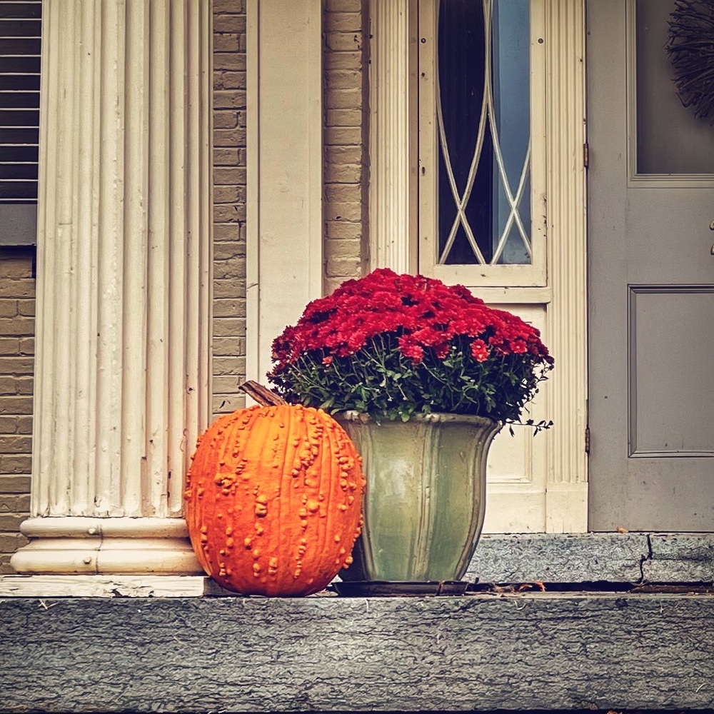 Warty Pumpkin (Photo: R.P. Murphy)