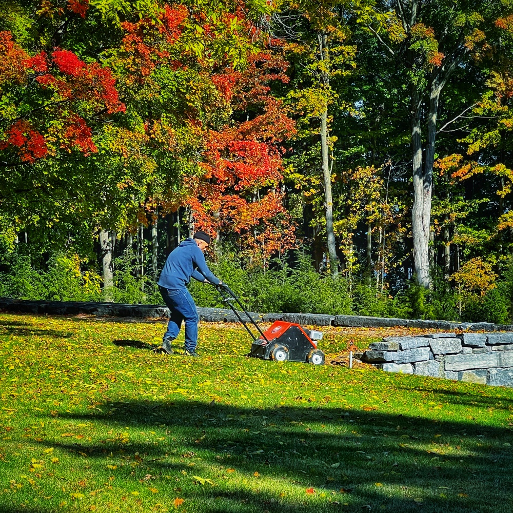 Autumn Aeration