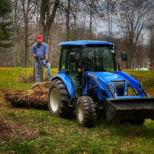 Root Wrangling (Photo: R.P. Murphy)