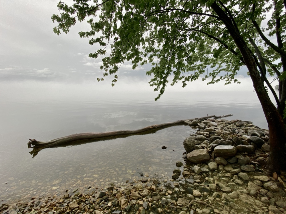 Chronicler or Artist I: waterfront variations (Photo: Geo Davis)