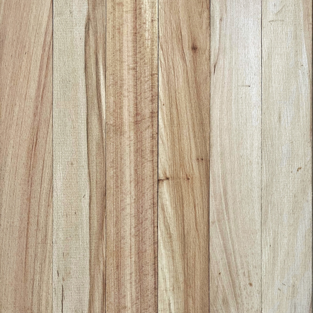 Flooring Experiment: character beech (Photo: R.P. Murphy)