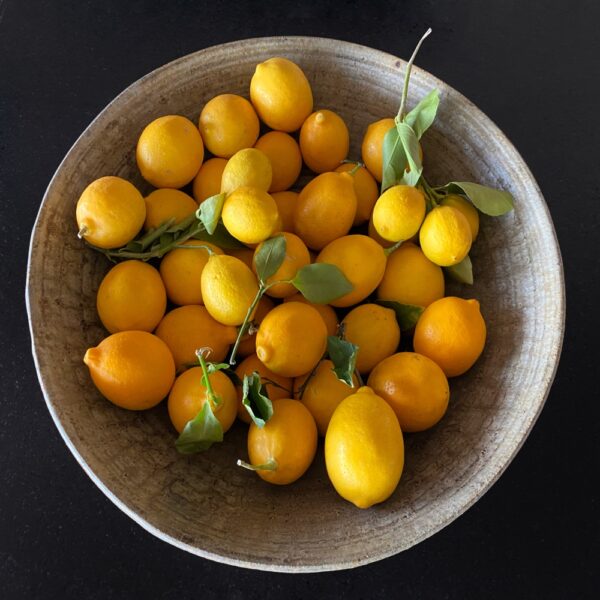 Generosity of Friends​: Lemons from Afar (Photo: Geo Davis)