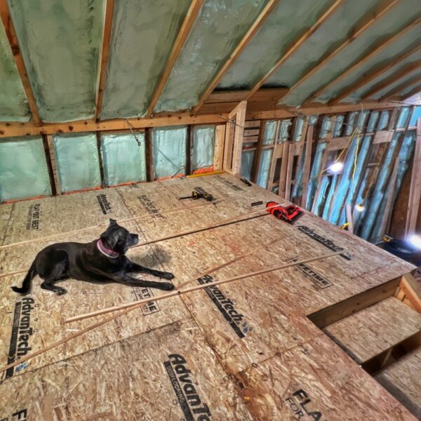 Mowie surveying the “multipurpose man cave” (Photo: R.P. Murphy)