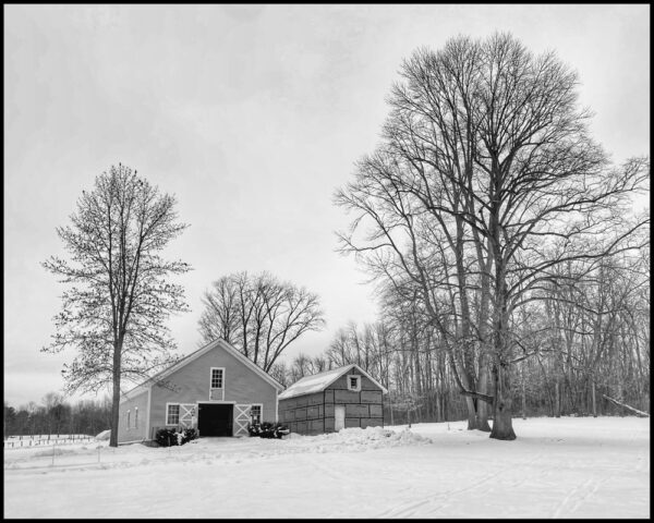 Rosslyn Barns, January 2023 (Photo: Geo Davis)