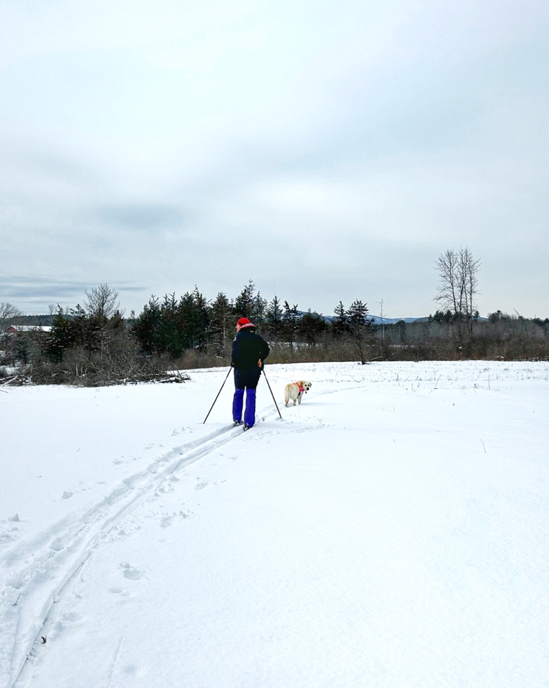 Cross-Country Skiing​ Beaver Meadow (Photo: Susan Bacot-Davis)