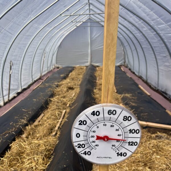 High Tunnel Almost Ready for Planting (Photo: Tony Foster)