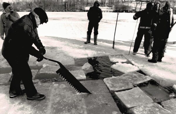 Harvesting Ice