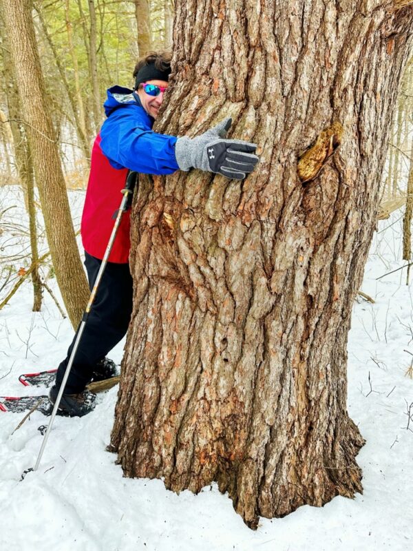 Tree Hugging Bushwhacker (Photo: Geo Davis)