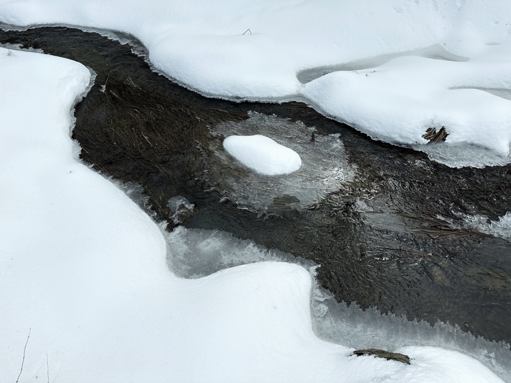 Library Brook (Photo: Geo Davis)