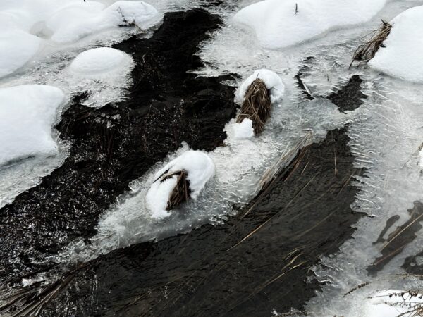 Library Brook Ice Crystals (Photo: Geo Davis)