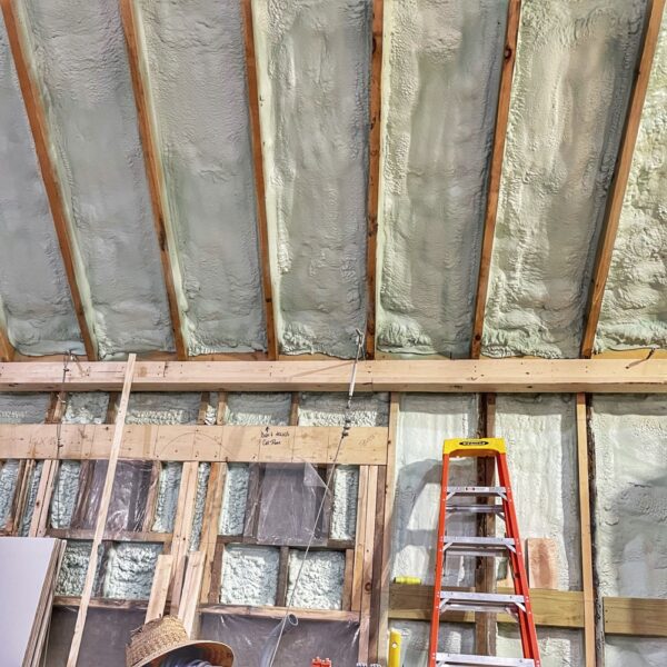 Icehouse Coving Progress (Credit: Eric Crowningshield)