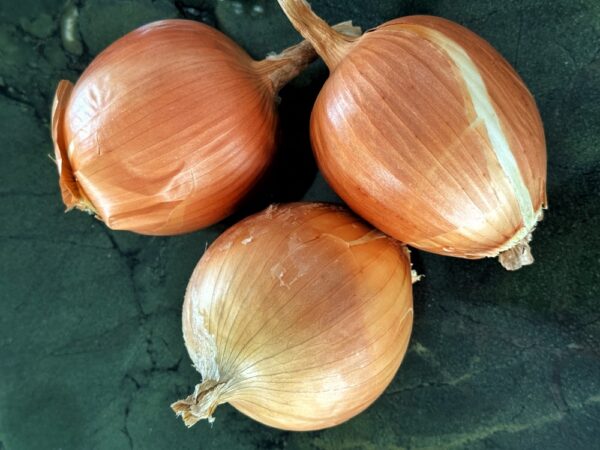 Onions for Elk Green Chile Stew (Photo: Geo Davis)