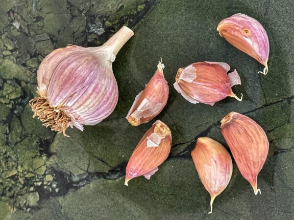 Garlic for Elk Green Chile Stew (Photo: Geo Davis)