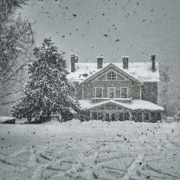 Winter Storm, March 14, 2023 (Photo: R.P. Murphy)