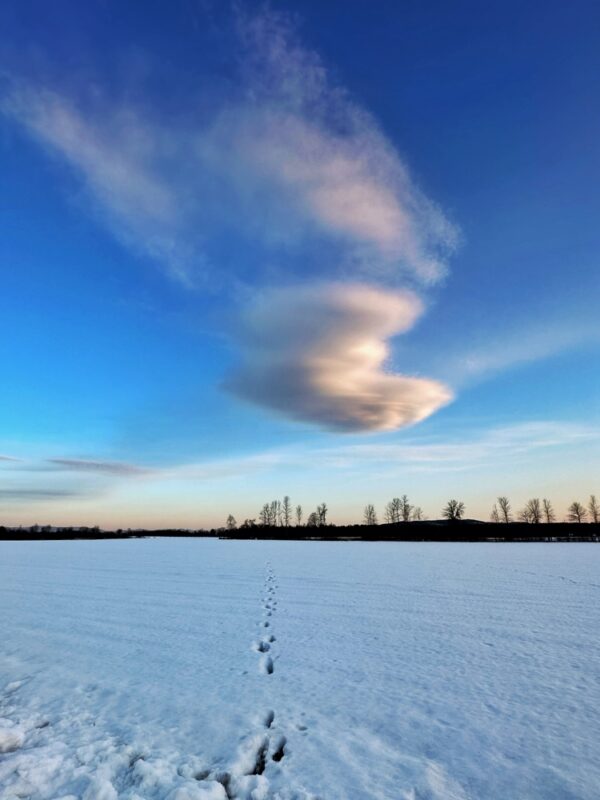 Vernal Equinox: Cloud Theatre I (Photo: Susan Bacot-Davis)