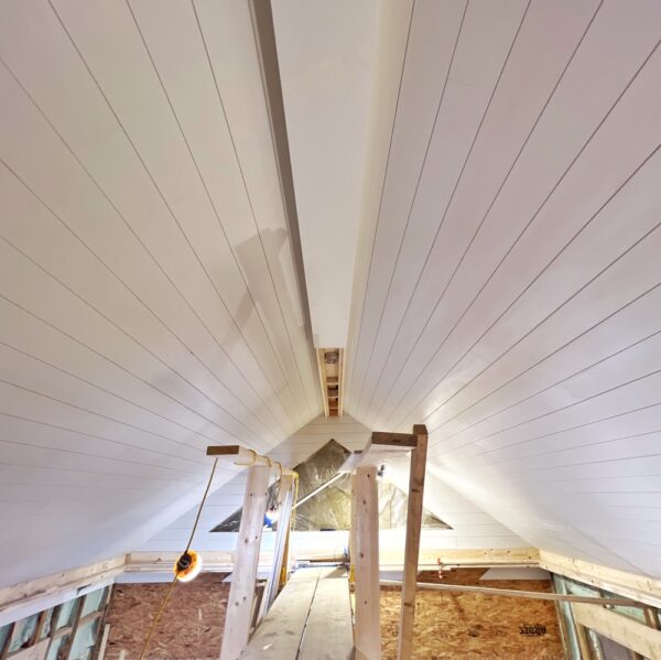 Icehouse Ceiling, Looking West (Photo: R.P. Murphy)