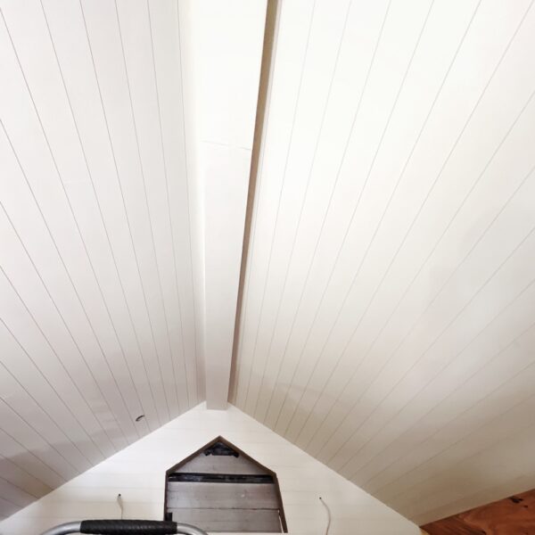 Icehouse Ceiling, Looking East (Photo: R.P. Murphy)