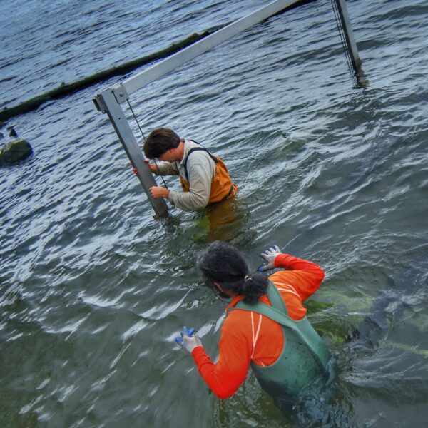 Geo and Tom Installing Boatlift, April 30, 2010 (Photo: Susan Bacot-Davis)