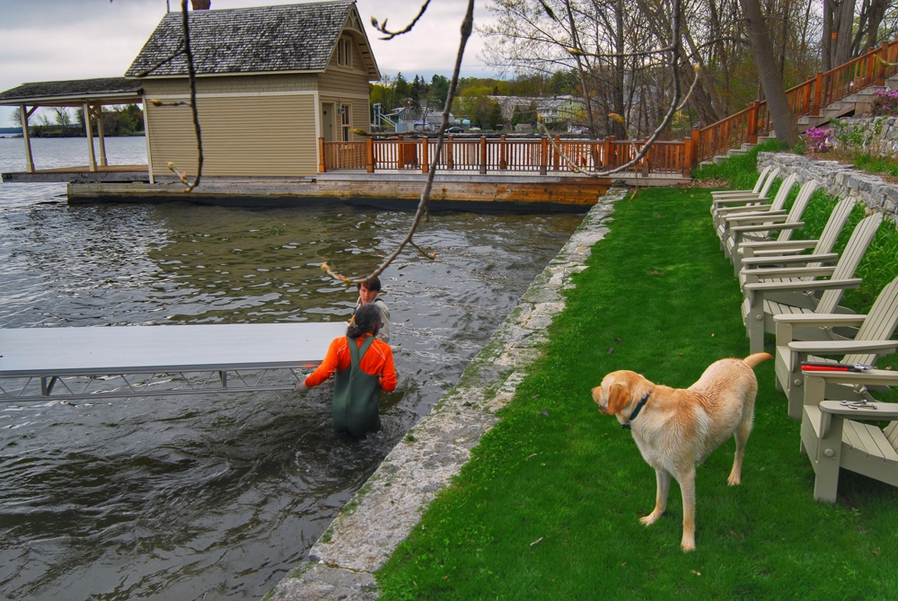 Installing Dock with Tom and Griffin on April 30, 2010 (Photo: Susan Bacot-Davis)