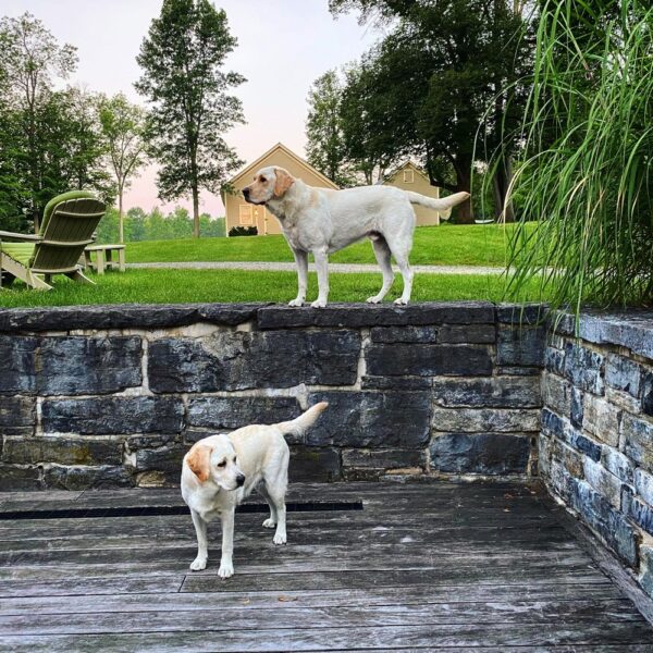 Carley & Bentley on Old Deck (Photo: Geo Davis)